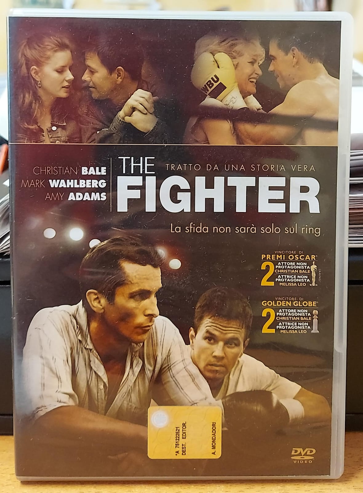 THE FIGHTER