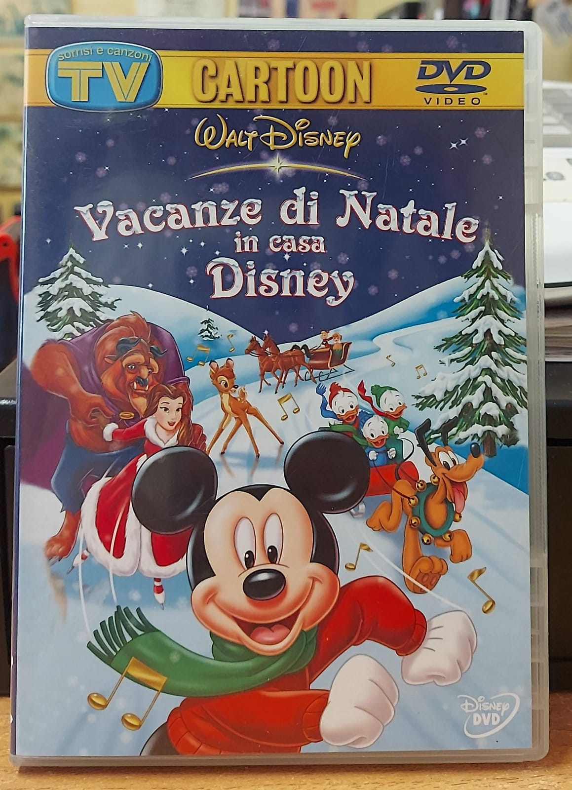 VACANZE DI NATALE IN CASA DISNEY